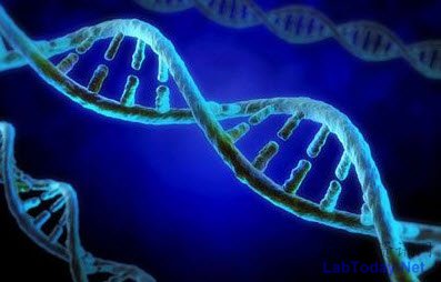 国宣布3亿英镑大数据人类基因组数据库项目-仪